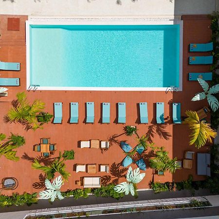 Samawa Living Hotel Paje Luaran gambar